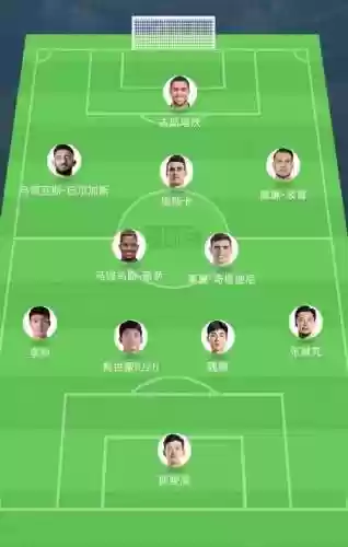 海港鲁能阵容插图