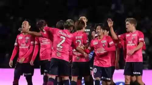 樱花阵容2020插图1
