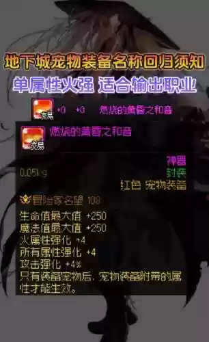 dnf宠物装备jixian插图1
