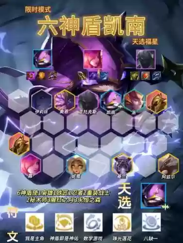 神盾阵容神盾阵容插图