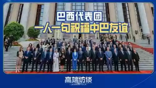 巴西访华阵容插图
