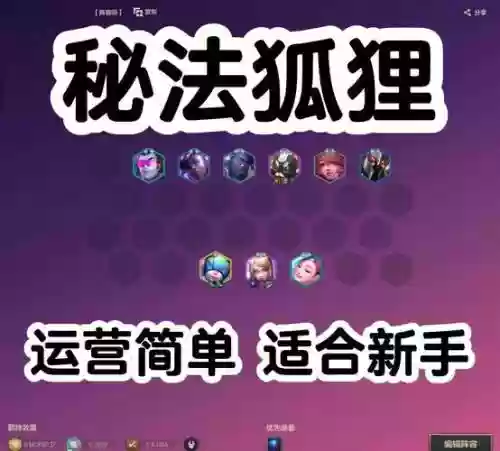 狐狸阵容423插图