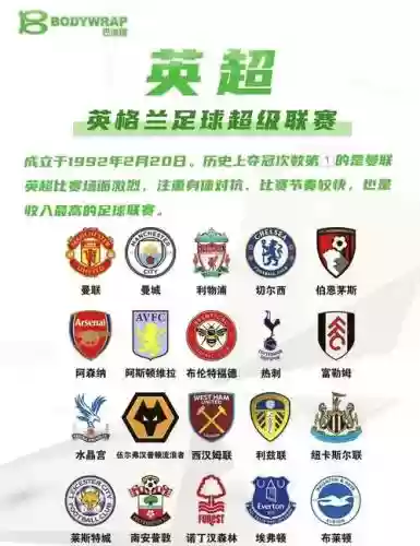俱乐部阵容前瞻插图