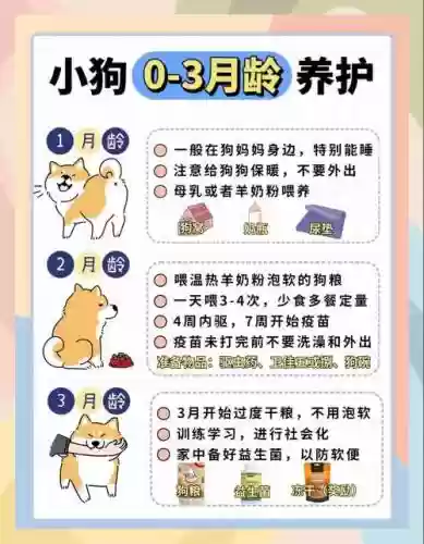 狗狗育成所攻略插图1