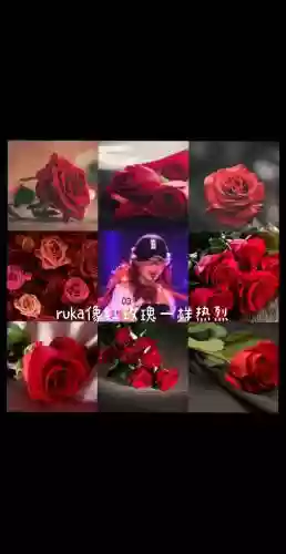 女团阵容说说插图1