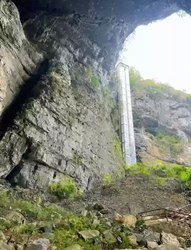 森林攻略下天坑插图1