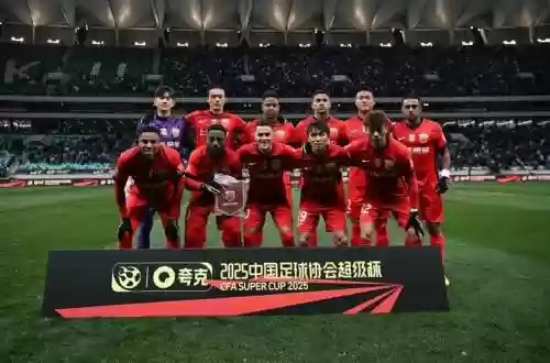 海港鲁能阵容插图1