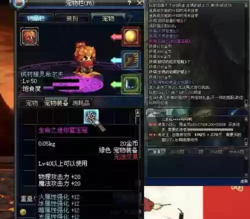 dnf宠物装备jixian插图