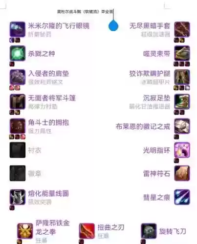 战斗贼随机英雄本装备插图