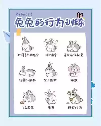 复活节兔宝宝技能_1插图