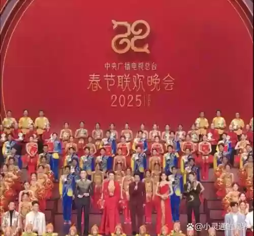 春晚主持阵容插图1