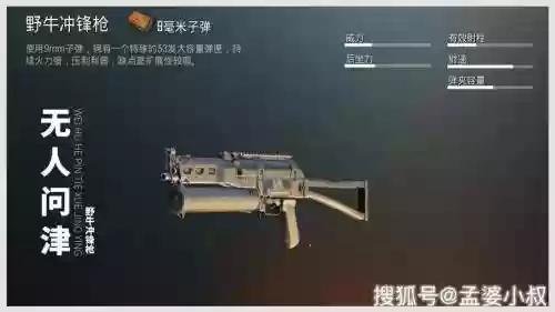 绝地求生53发子弹的武器插图1