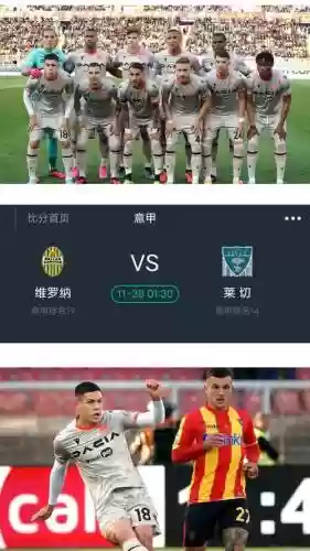 维罗纳2023阵容插图1