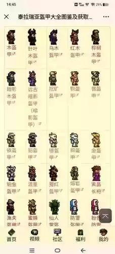 泰拉瑞亚手机版法师毕业装备_1插图