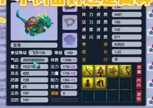 梦幻西游抓龙龟要求插图