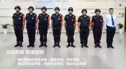 最强安保阵容插图