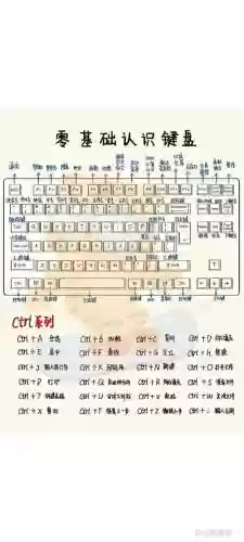 13键盘阵容插图