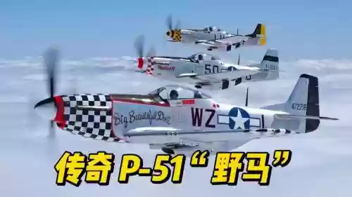野兽飞机阵容插图