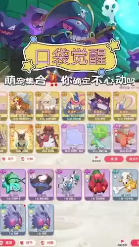 口袋冲锋阵容插图1