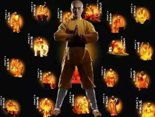 一龙阵容_1插图
