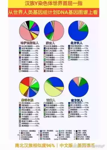 人类观察阵容插图1