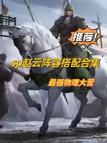 蛇皮赵云阵容搭配插图