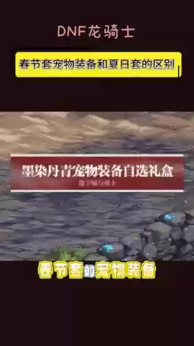 地下城与勇士年套宠物装备_1插图1