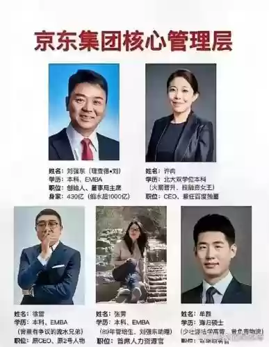 京东全部阵容插图1