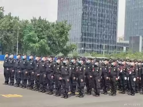 最强安保阵容插图1