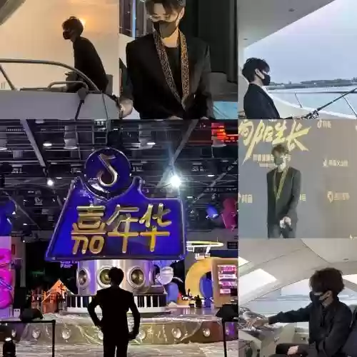 秦总阵容插图1