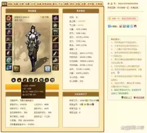 寻侠客装备怎么带插图