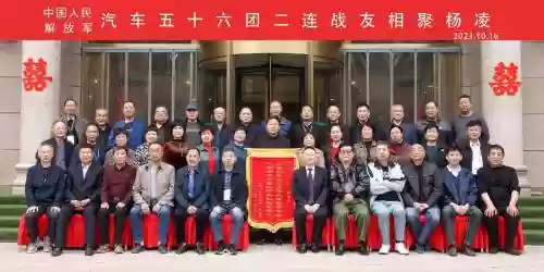 56团阵容插图