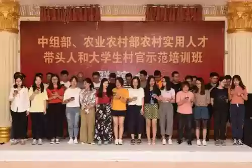 村主任阵容插图