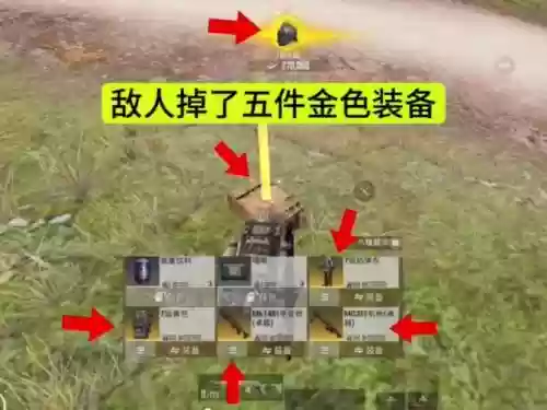 加金币掉落的装备插图