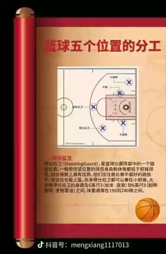 阵容图篮球_1插图1