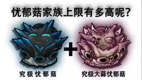 蘑菇阵容搭配插图