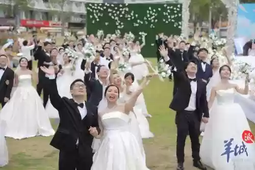 豪华结婚阵容插图1