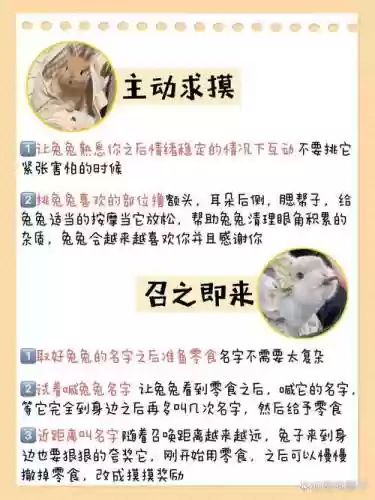 复活节兔宝宝技能_1插图1