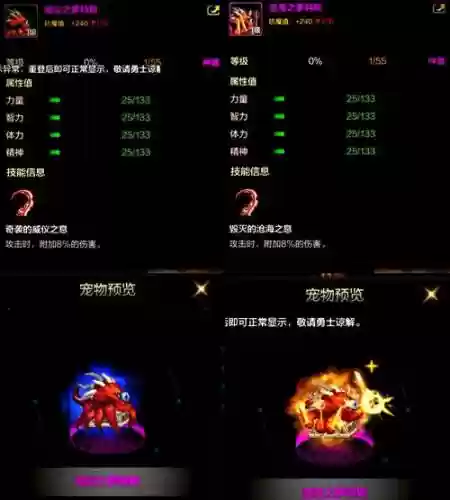 地下城与勇士年套宠物装备_1插图