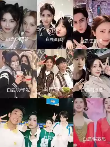 追鹿阵容插图1