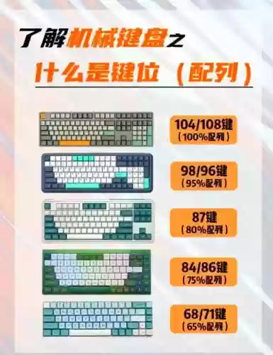 13键盘阵容