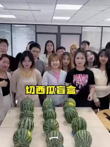 切西瓜阵容插图