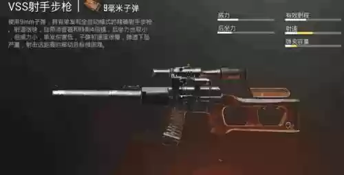 绝地求生53发子弹的武器插图