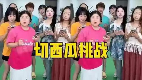 切西瓜阵容插图1