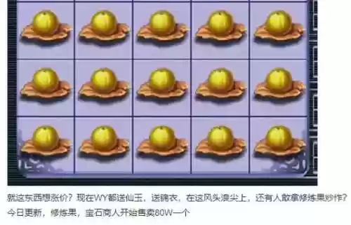 梦幻西游前期修炼果插图