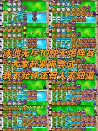 放炮版阵容_1插图