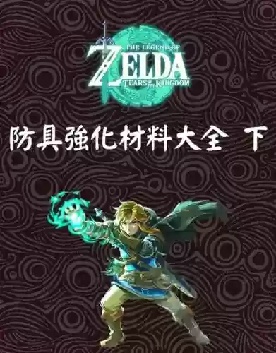 塞尔达加装备格插图