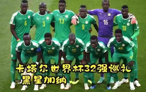 加纳手法阵容插图1