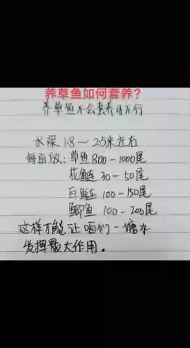 养鱼阵容选择插图1