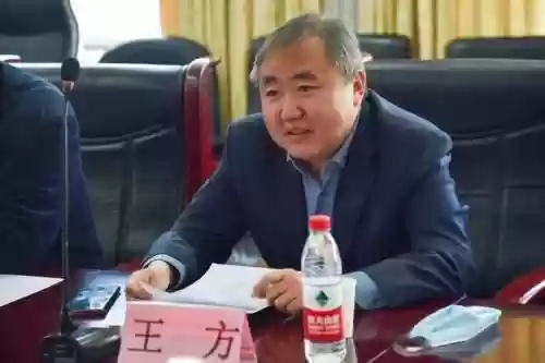 王方阵容插图1